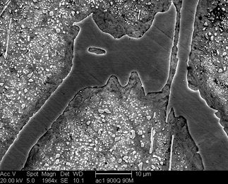 /static/micrographs/micrograph1098.png