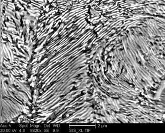 /static/micrographs/micrograph1100.png