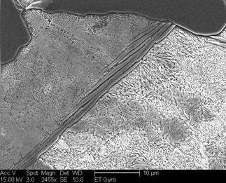 /static/micrographs/micrograph1102.png