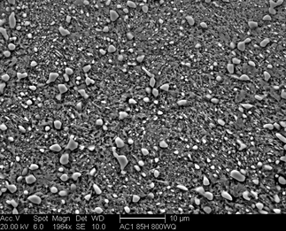 /static/micrographs/micrograph1103.png
