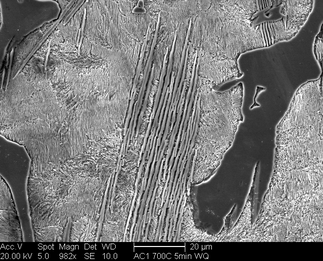 /static/micrographs/micrograph1104.png