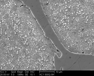 /static/micrographs/micrograph1105.png