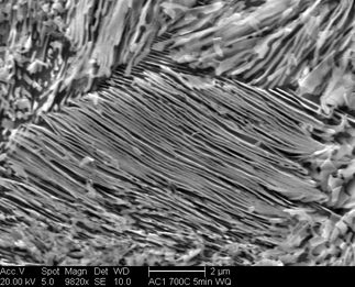 /static/micrographs/micrograph1106.png