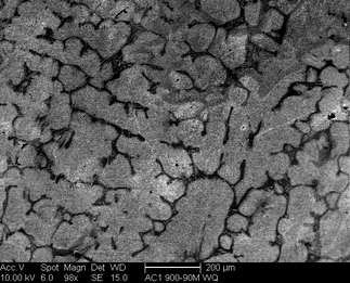 /static/micrographs/micrograph1109.png