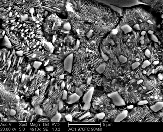 /static/micrographs/micrograph111.png