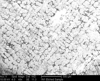 /static/micrographs/micrograph1111.png