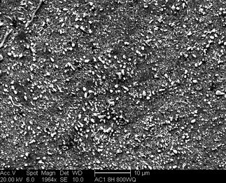 /static/micrographs/micrograph1112.png