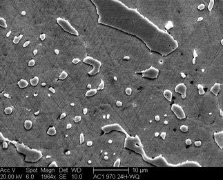/static/micrographs/micrograph1117.png