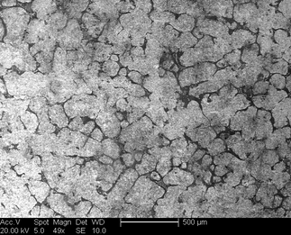 /static/micrographs/micrograph112.png