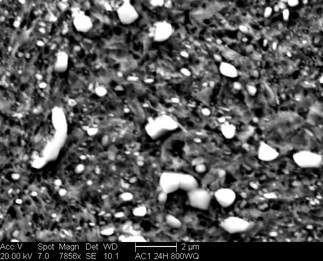 /static/micrographs/micrograph1120.png