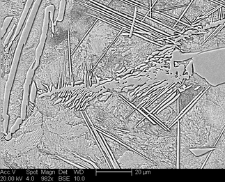 /static/micrographs/micrograph1123.png