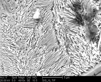 /static/micrographs/micrograph1126.png