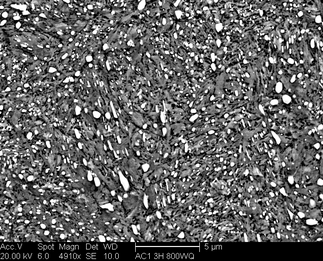 /static/micrographs/micrograph1127.png