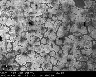 /static/micrographs/micrograph1128.png