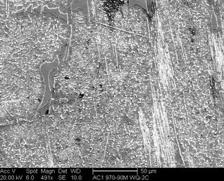 /static/micrographs/micrograph1129.png