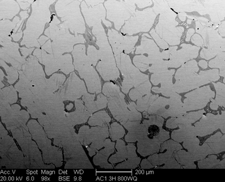 /static/micrographs/micrograph113.png