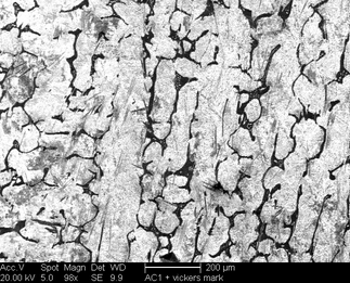 /static/micrographs/micrograph1134.png