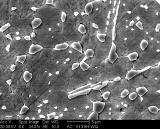 /static/micrographs/micrograph1136.png