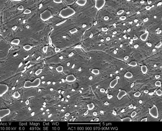 /static/micrographs/micrograph1138.png
