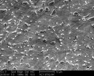 /static/micrographs/micrograph1139.png