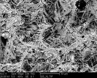 /static/micrographs/micrograph114.png