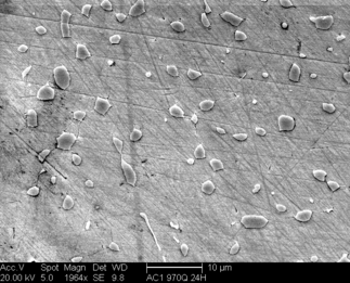 /static/micrographs/micrograph1140.png