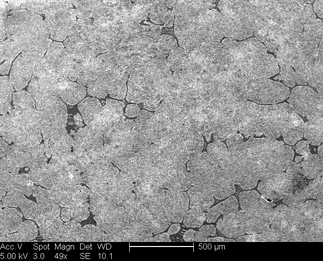 /static/micrographs/micrograph1142.png
