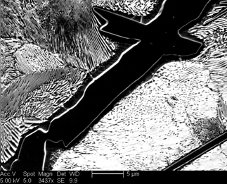 /static/micrographs/micrograph1144.png