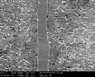 /static/micrographs/micrograph1145.png