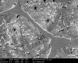 /static/micrographs/micrograph1146.png