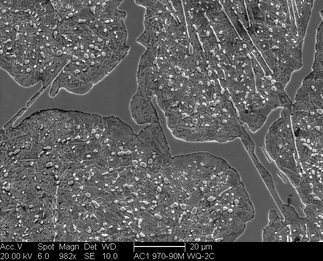 /static/micrographs/micrograph1150.png