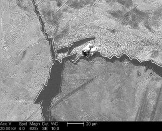 /static/micrographs/micrograph1152.png