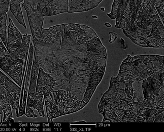 /static/micrographs/micrograph1155.png