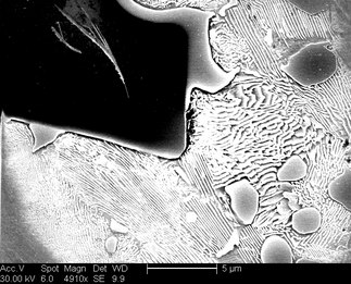 /static/micrographs/micrograph1157.png