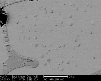 /static/micrographs/micrograph1159.png