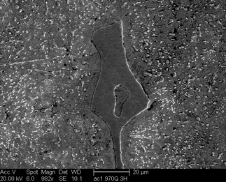 /static/micrographs/micrograph1161.png