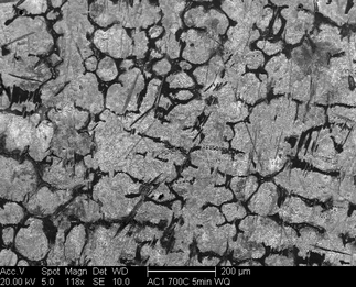 /static/micrographs/micrograph1162.png