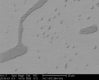 /static/micrographs/micrograph1163.png
