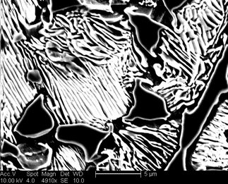 /static/micrographs/micrograph1165.png