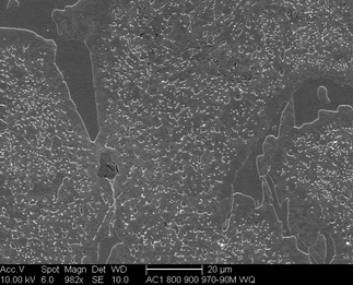 /static/micrographs/micrograph1167.png