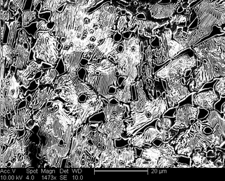 /static/micrographs/micrograph1168.png