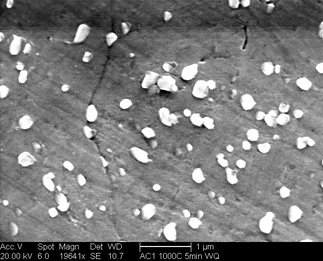 /static/micrographs/micrograph1173.png