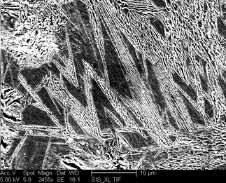 /static/micrographs/micrograph1174.png