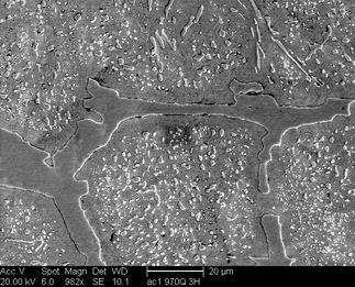 /static/micrographs/micrograph1176.png