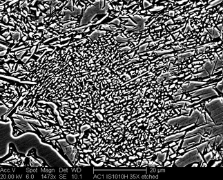 /static/micrographs/micrograph1177.png