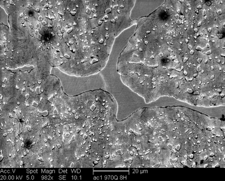 /static/micrographs/micrograph1180.png