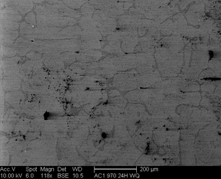 /static/micrographs/micrograph1182.png