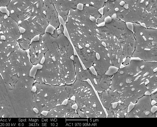 /static/micrographs/micrograph1183.png
