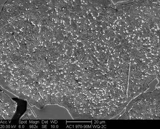 /static/micrographs/micrograph1185.png