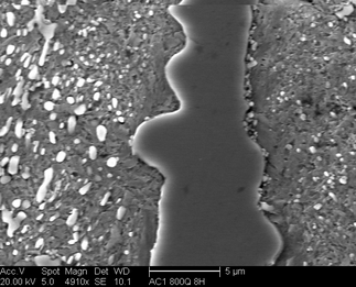 /static/micrographs/micrograph1188.png
